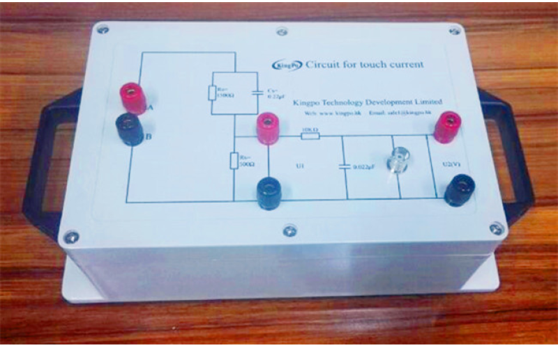 Where Gentamicin Vestibulotoxicity Meets Detection